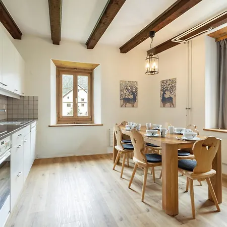 Chesa-strimer - Rustica דירה